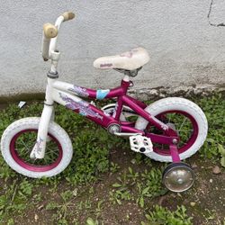 Kids Bicycle With Training Wheels 
