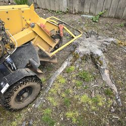 Stump Removal Made Easy