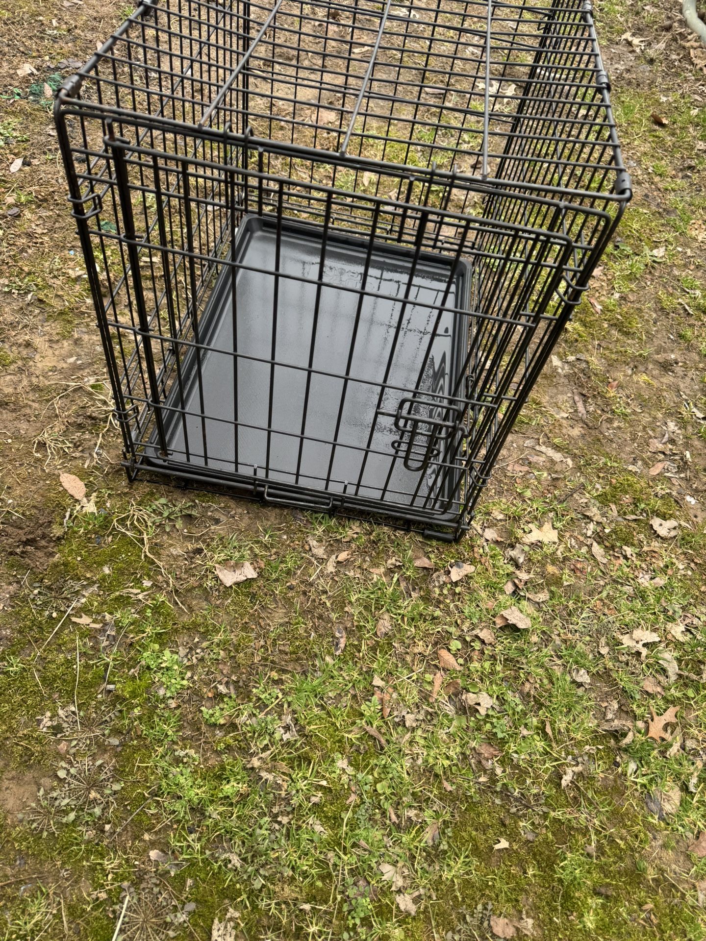 Dog Kennel