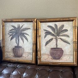 Set of 2 Palm Frames