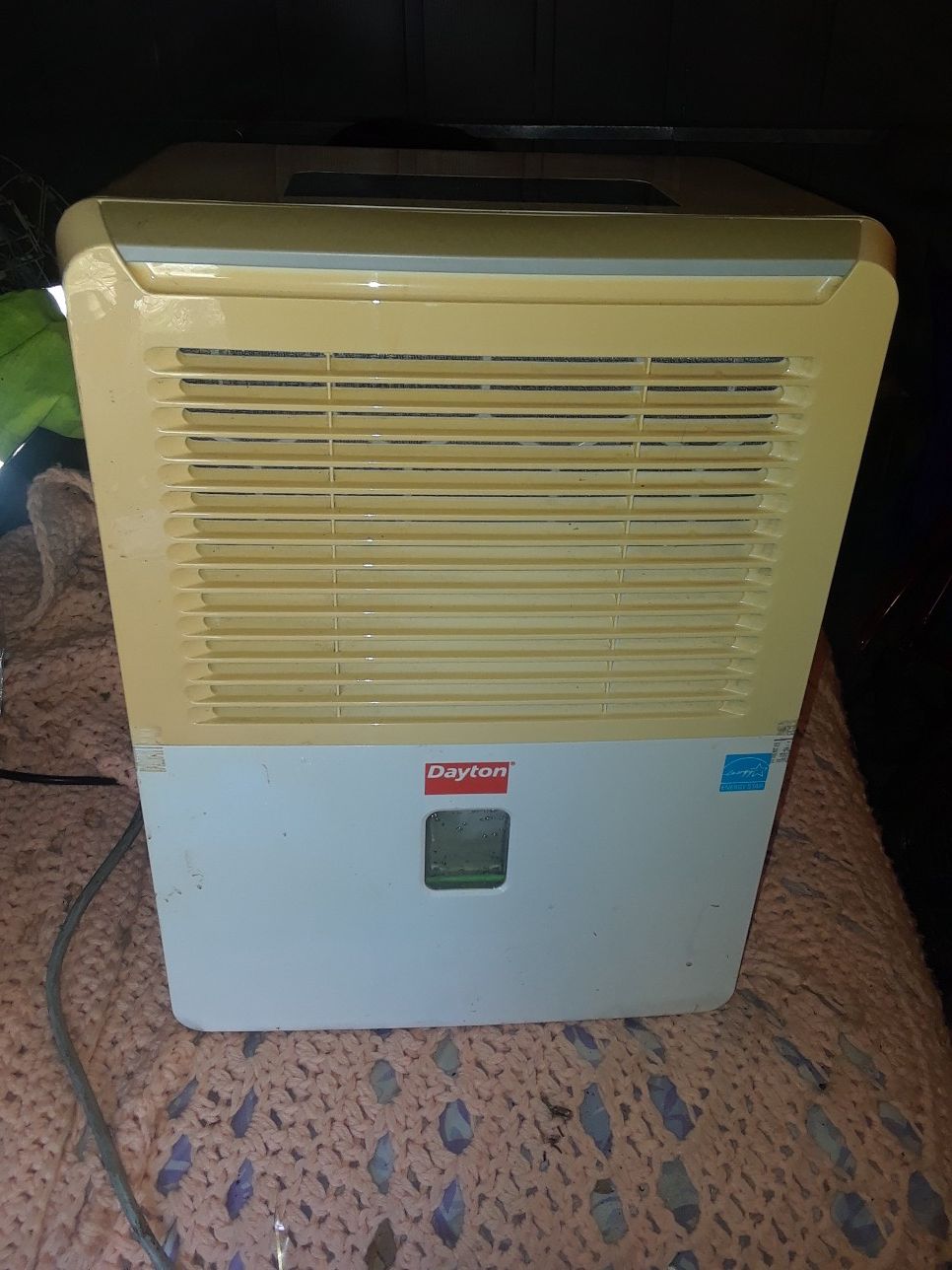Dayton dehumidifier