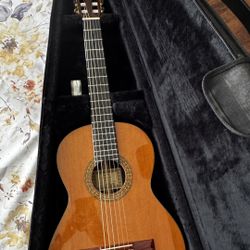 Esteve Seniorita 7/8 Professional Classical Guitar With Case