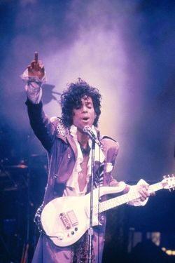 PRINCE PICTURE