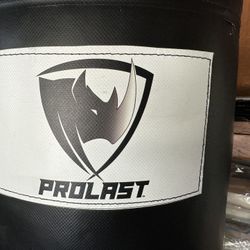 Prolast 80# Heavy Bag + Everlast Stand