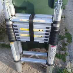 Telescopic  Ladder 16.5 Long