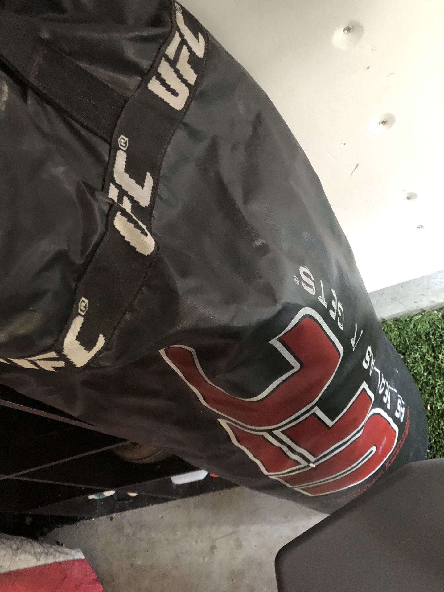 UFC Punching Bag