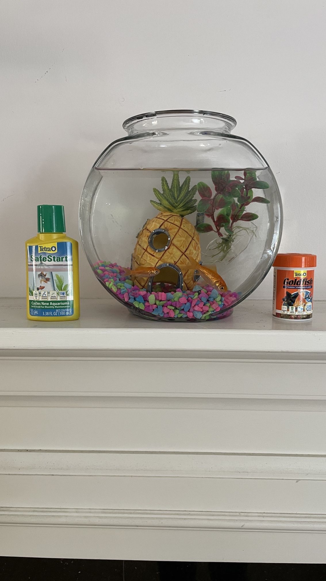 Fish Bowl Including Fish + Props + Food