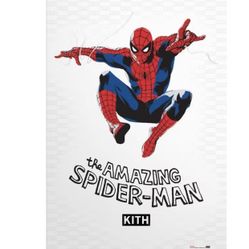 Kith The Amazing Spider-Man Poster