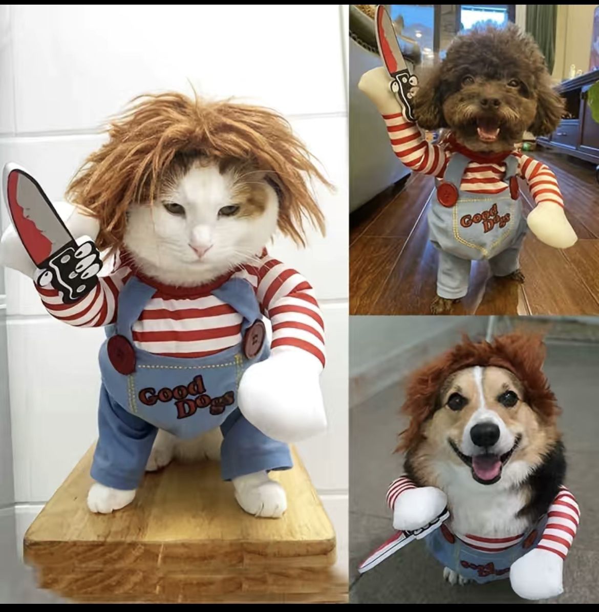 Pet Costume