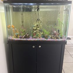 Fish Tank With Stand Ready To Use It. 