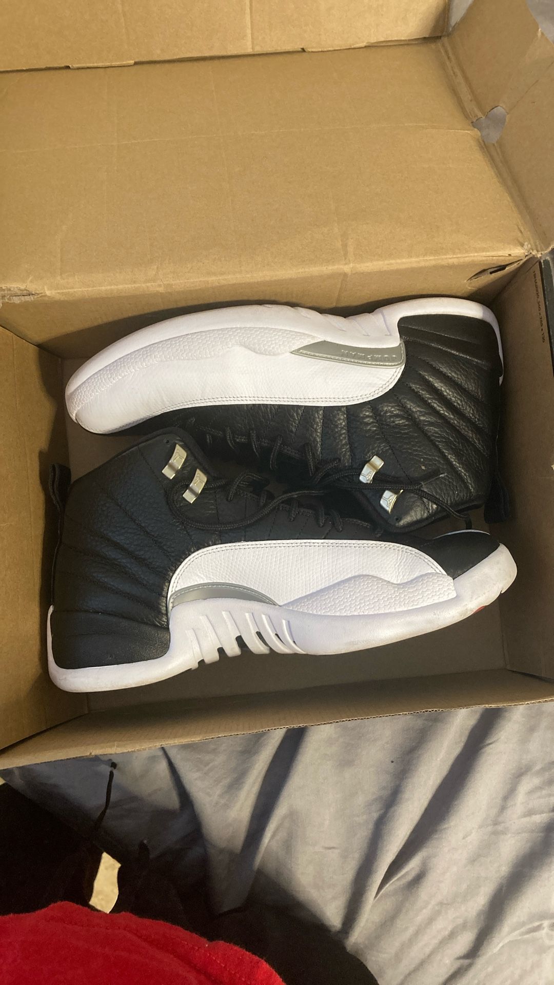 Jordan Retro 12
