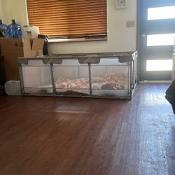 Infant playpen 