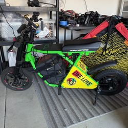 Custom Ebike