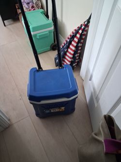 Ice chest