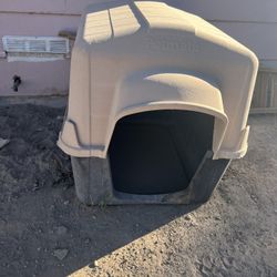 Dog House 