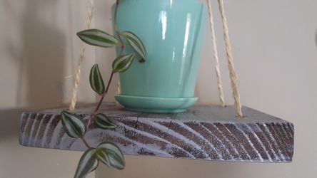 Hanging shelf planter