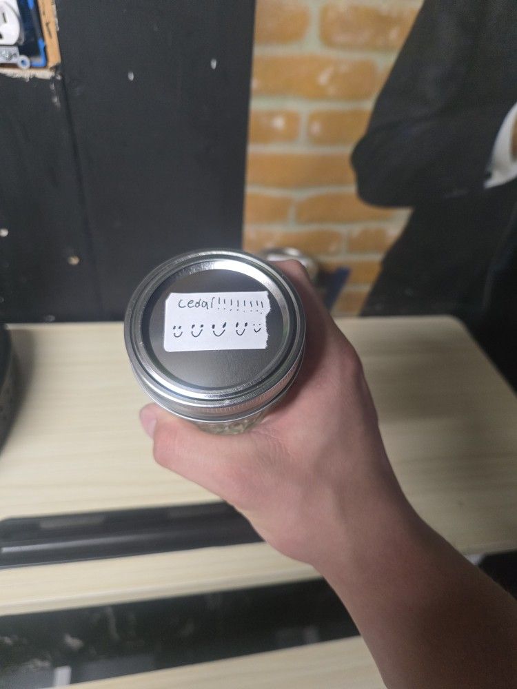 Cedar Candles