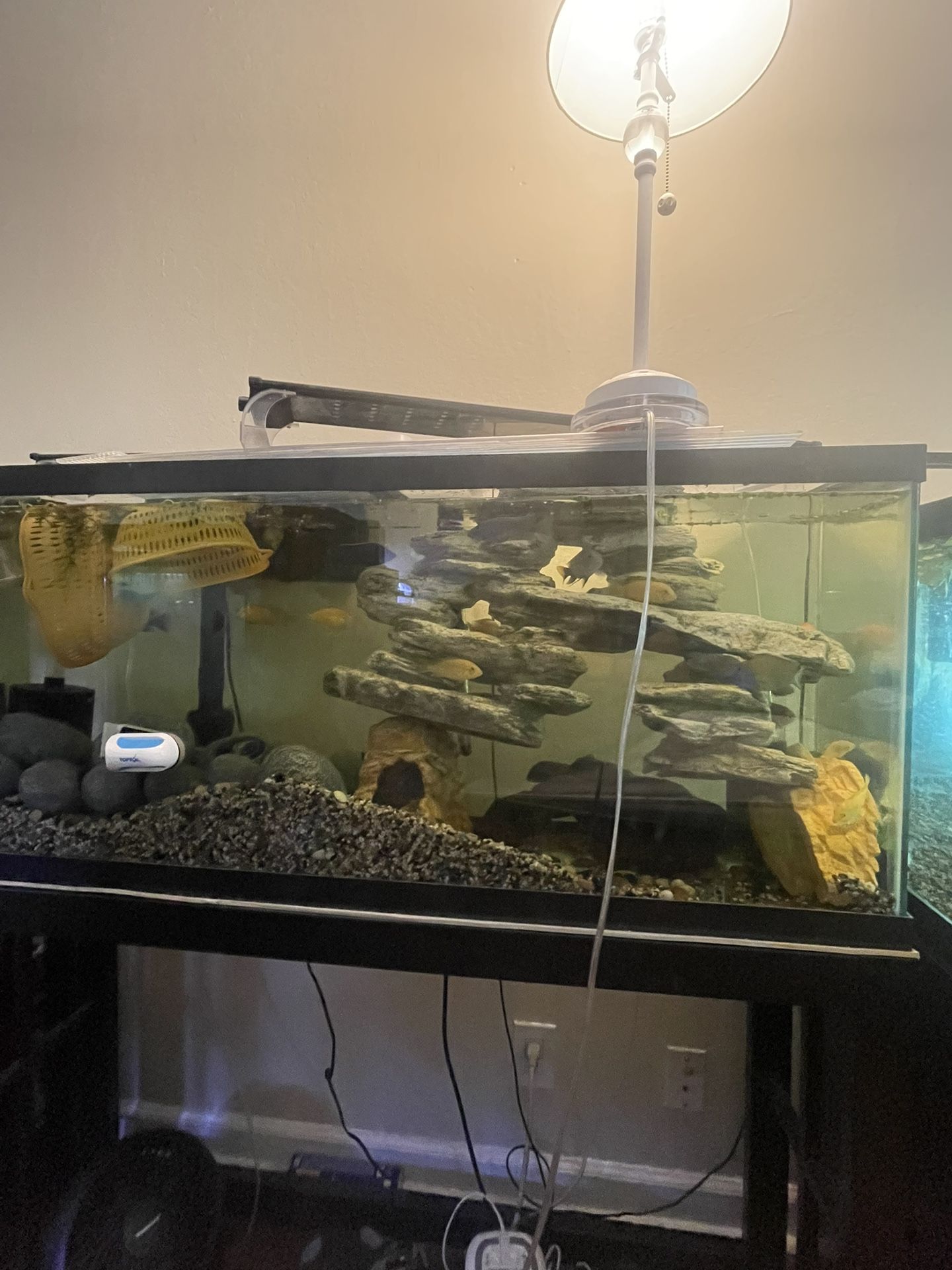 Fish Tank And Stand