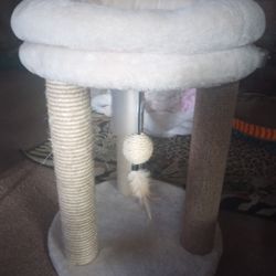 New Kitten Tower 