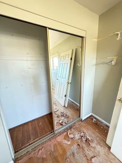Mirror closet door