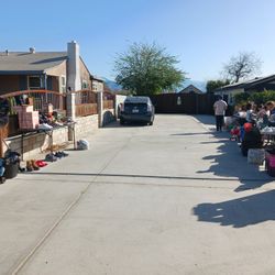 HOY Sabado 31 de energy. Yarda.  Barato, un poco de todo...