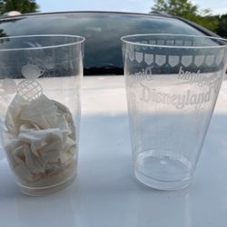 (2) “WDW Epcot Plastic Glasses”:(2) WDW Plastic Glasses