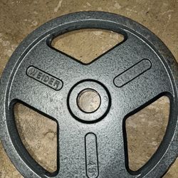 45 Lb Olympic Weights