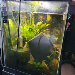 Fish Tank 20gallons