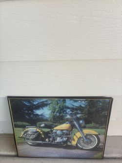 Picture For Sale 20’’ Long X 16’’ High