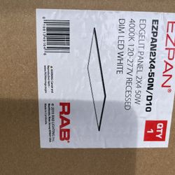 Rab 2x4 LED 120/277v Light