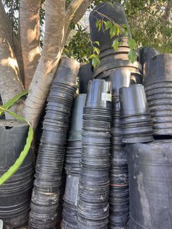 Garden/ Plant/ Nursery Pots On Sale