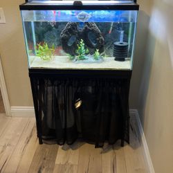 29 Gallon Fish Tank & Components 