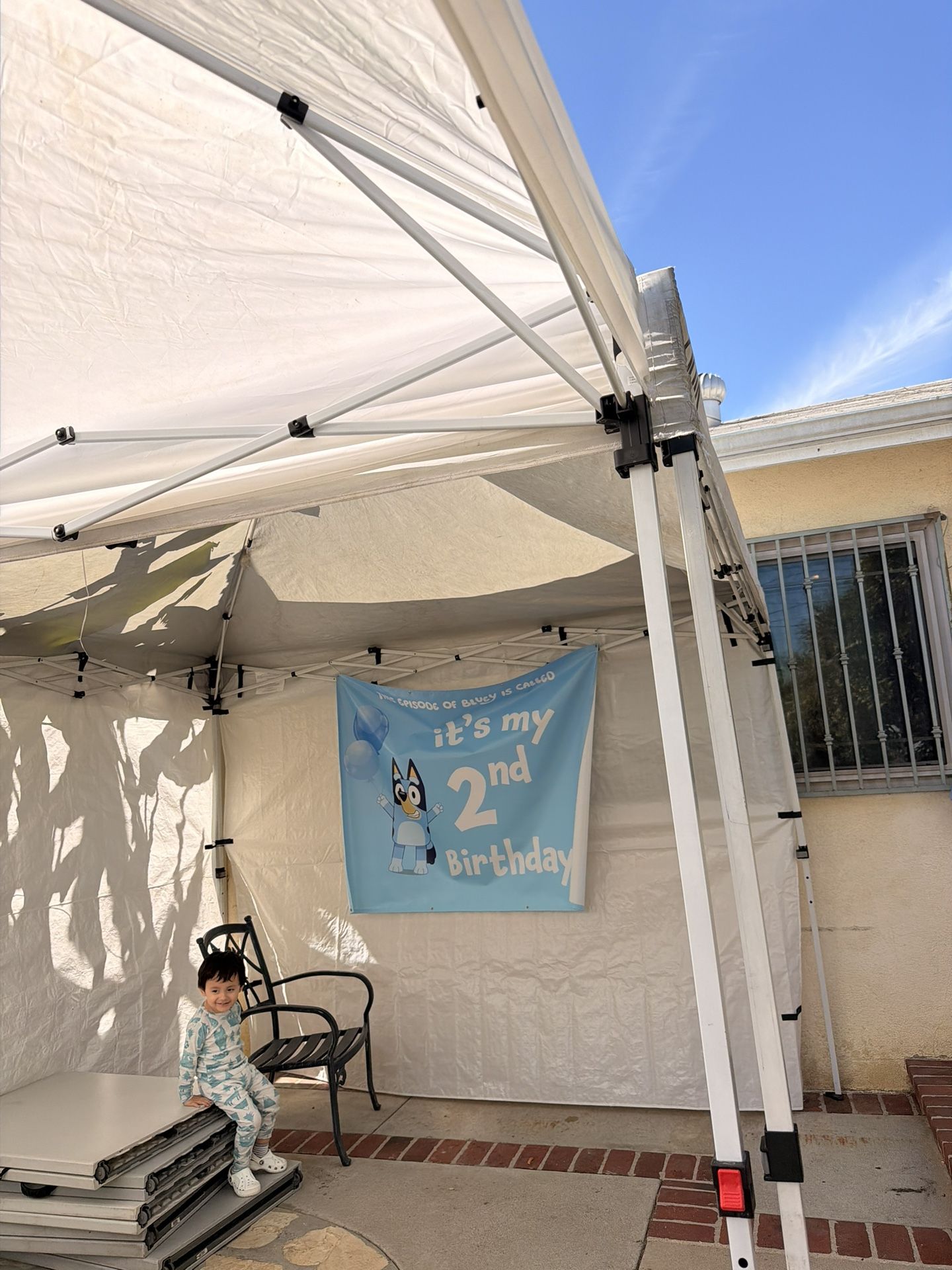 Bluey 2nd birthday banner