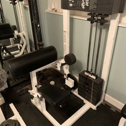 Bicep Curl Machine