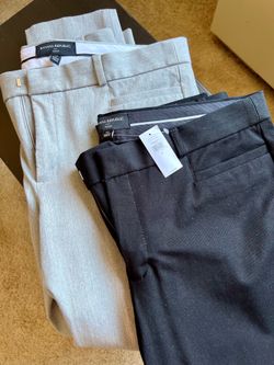 Two Banana Republic Sloan Pants Size 12