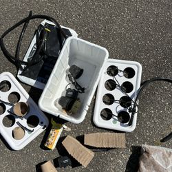 Hydroponic Growing 
