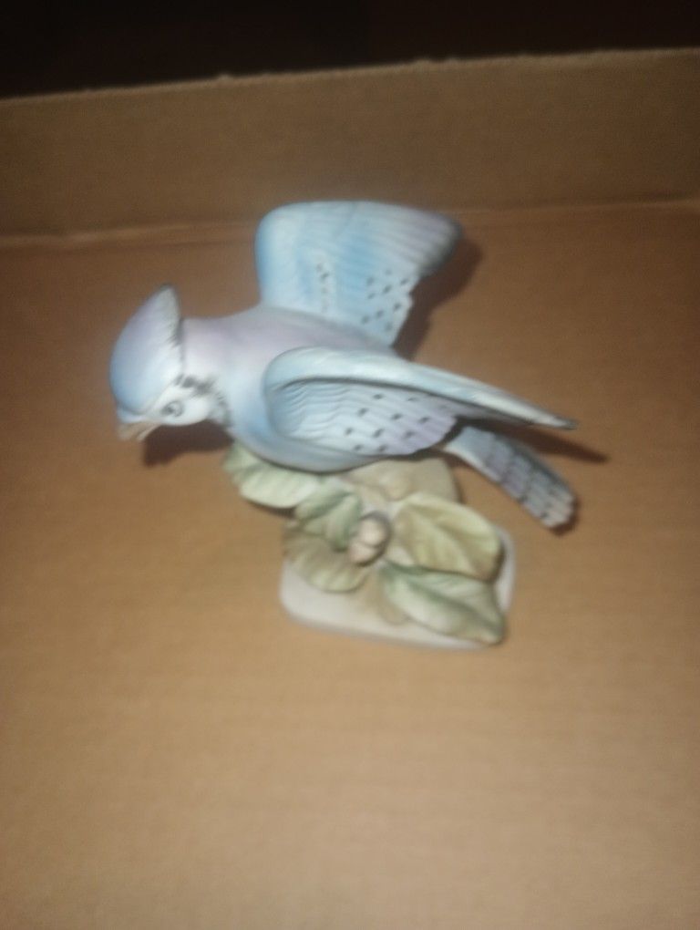Porcelain Blue Jay