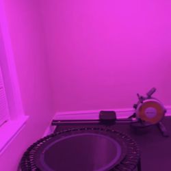 Bellicon 44” Rebounder / Mini Trampoline – Excellent Condition (Retails $800+)