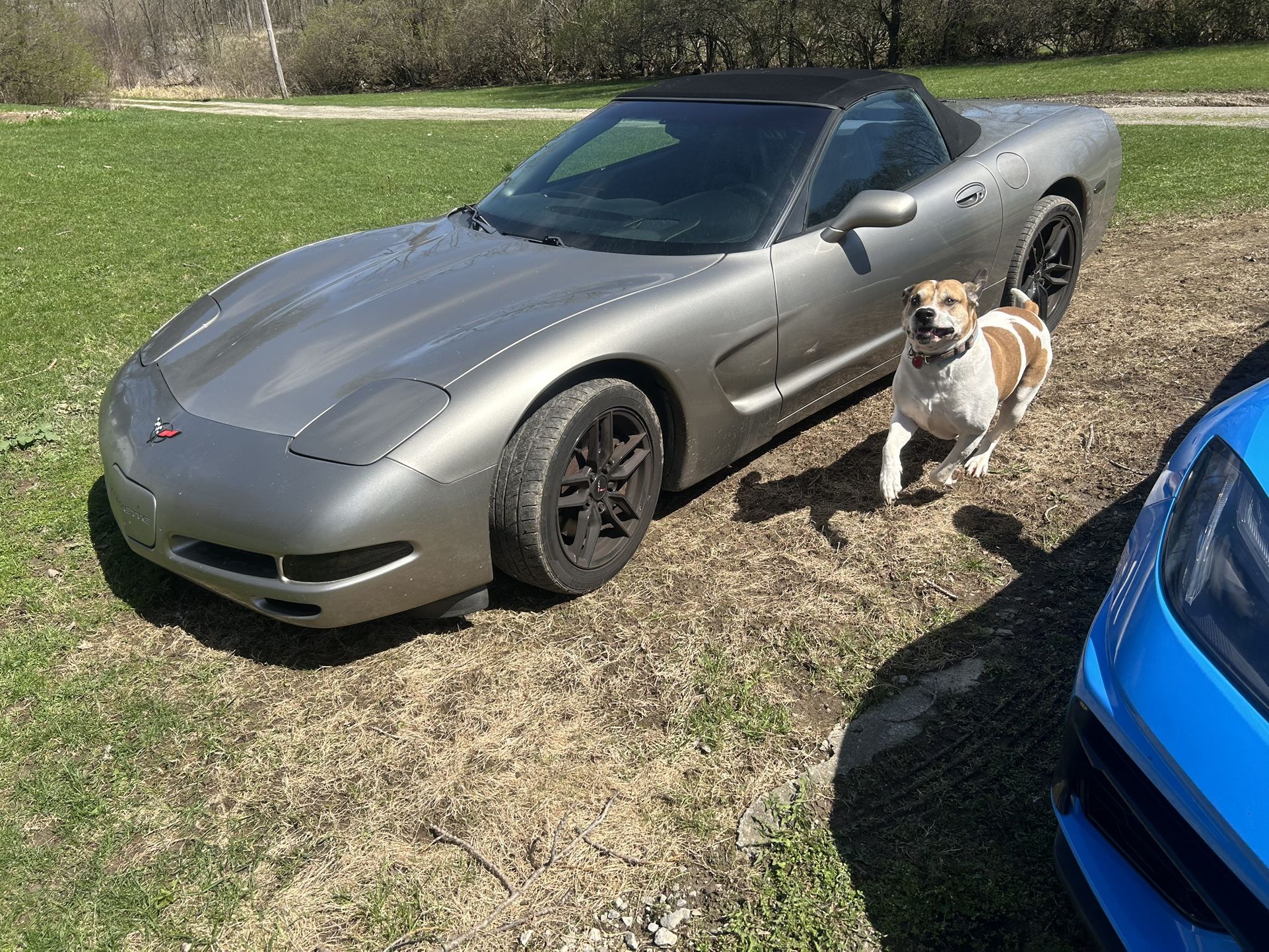 1999 Chevrolet Corvette