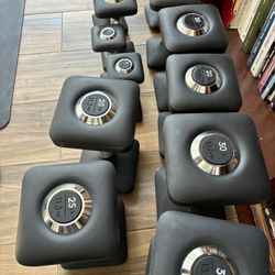 Peloton Complete Dumbbell Weight Set 
