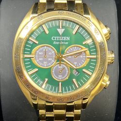 Citizen Watch 