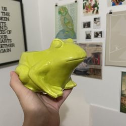 Frog Ceramic Pot 