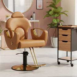 ❤️‍🔥 Salon Barber Chair, Reclining Salon Chairs for Hair Stylist, Hair Stylist Chair Heavy Duty Hydraulic Pump, 360 Swivel Styling Braiding Hairdress