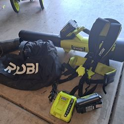 RYOBI

40V HP Brushless 100 MPH 600 CFM Cordless Leaf Blower/Mulcher/Vacuum with (2) 4.0 Ah Batteries and Charger