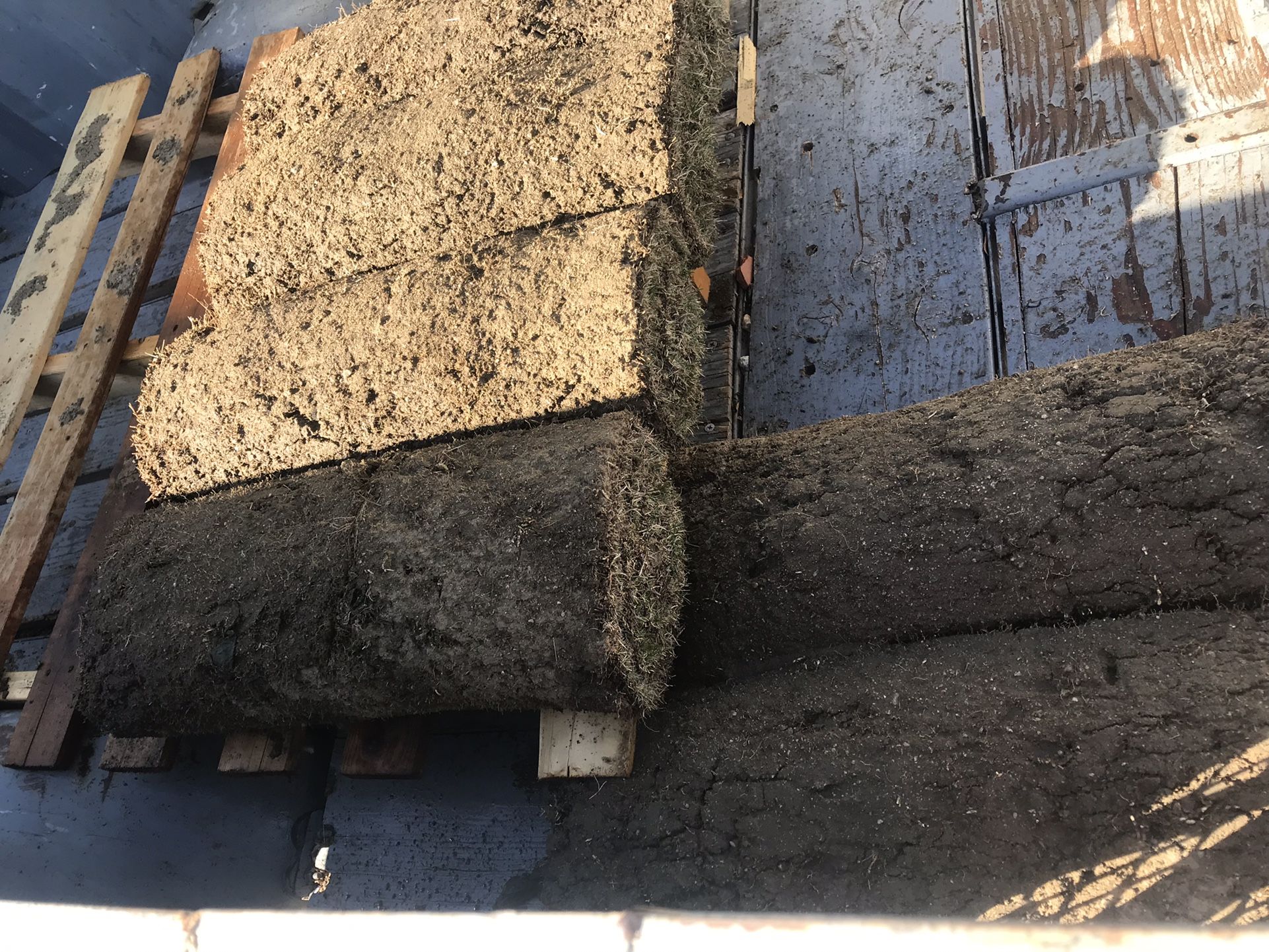 (6) Rolls of Fresh Sod
