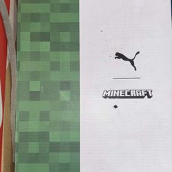 Mincraft Pumas