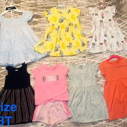 Lot of Toddler girl clothes 3T