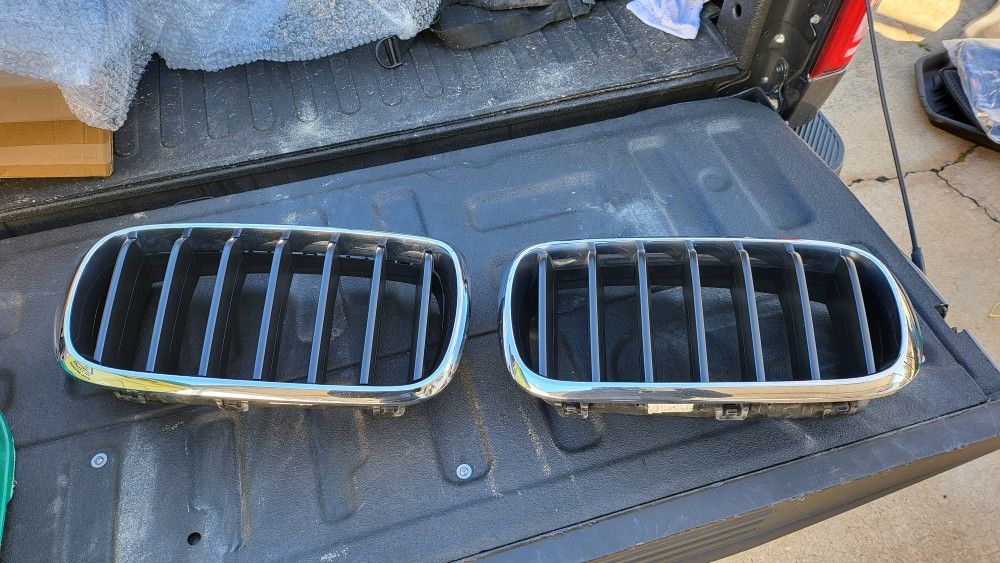 BMW X5 Grill