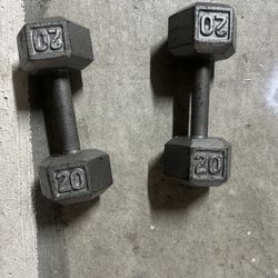 Dumbbells 20 Lbs