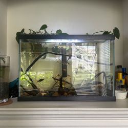 20 gallon fish Tank With Accessories And Fishes